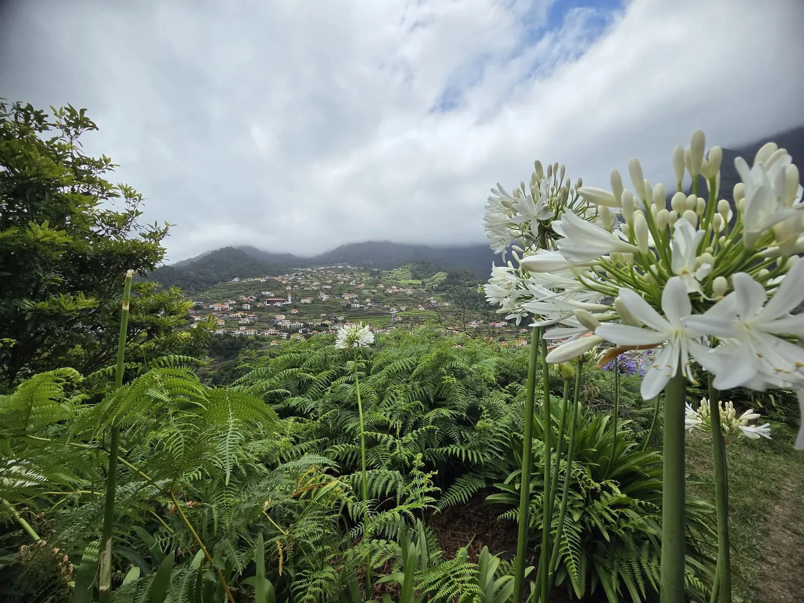 Madeira